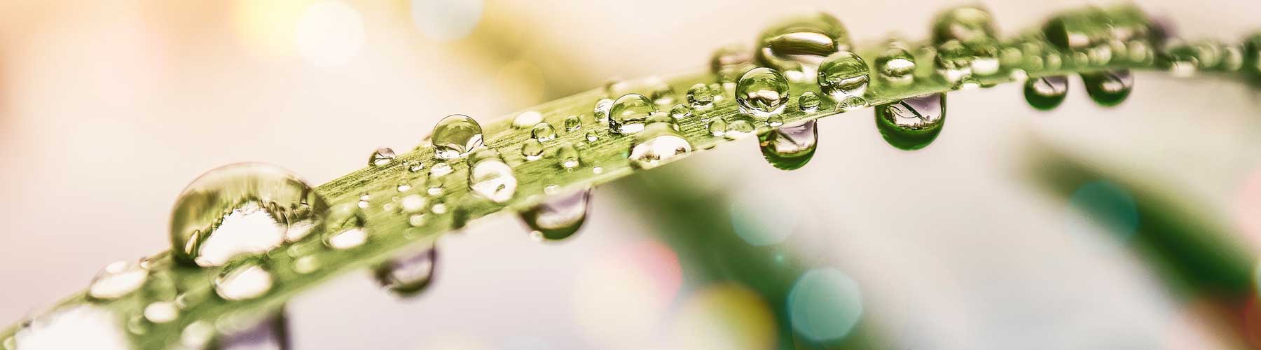 wassetropfen-1800x500.60258a43840f5
